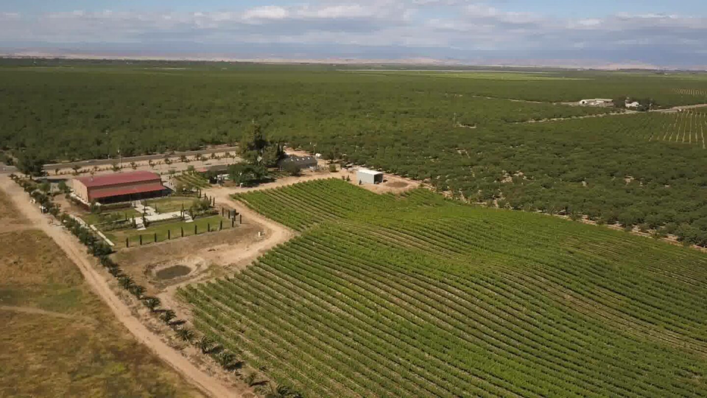 Toca Madera Winery in Madera, CA