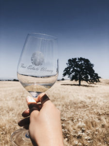 Madera Wine Trail - Wine Glass in Vineyard
