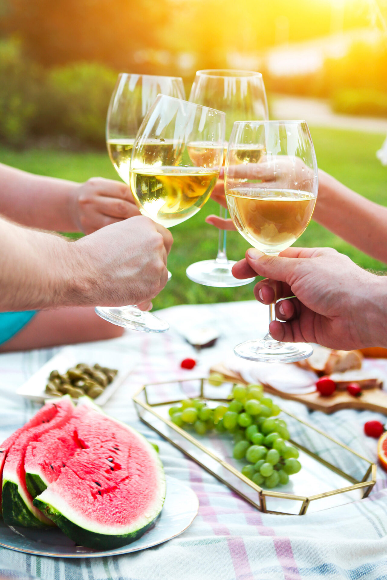 Four glasses of Pinot Grigio cheersing over a picnic blanket with watermelon and grapes