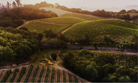 The Complete Guide to Healdsburg