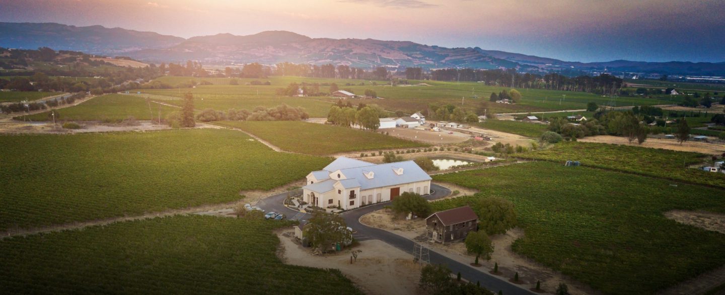 Hyde Wines in Carneros