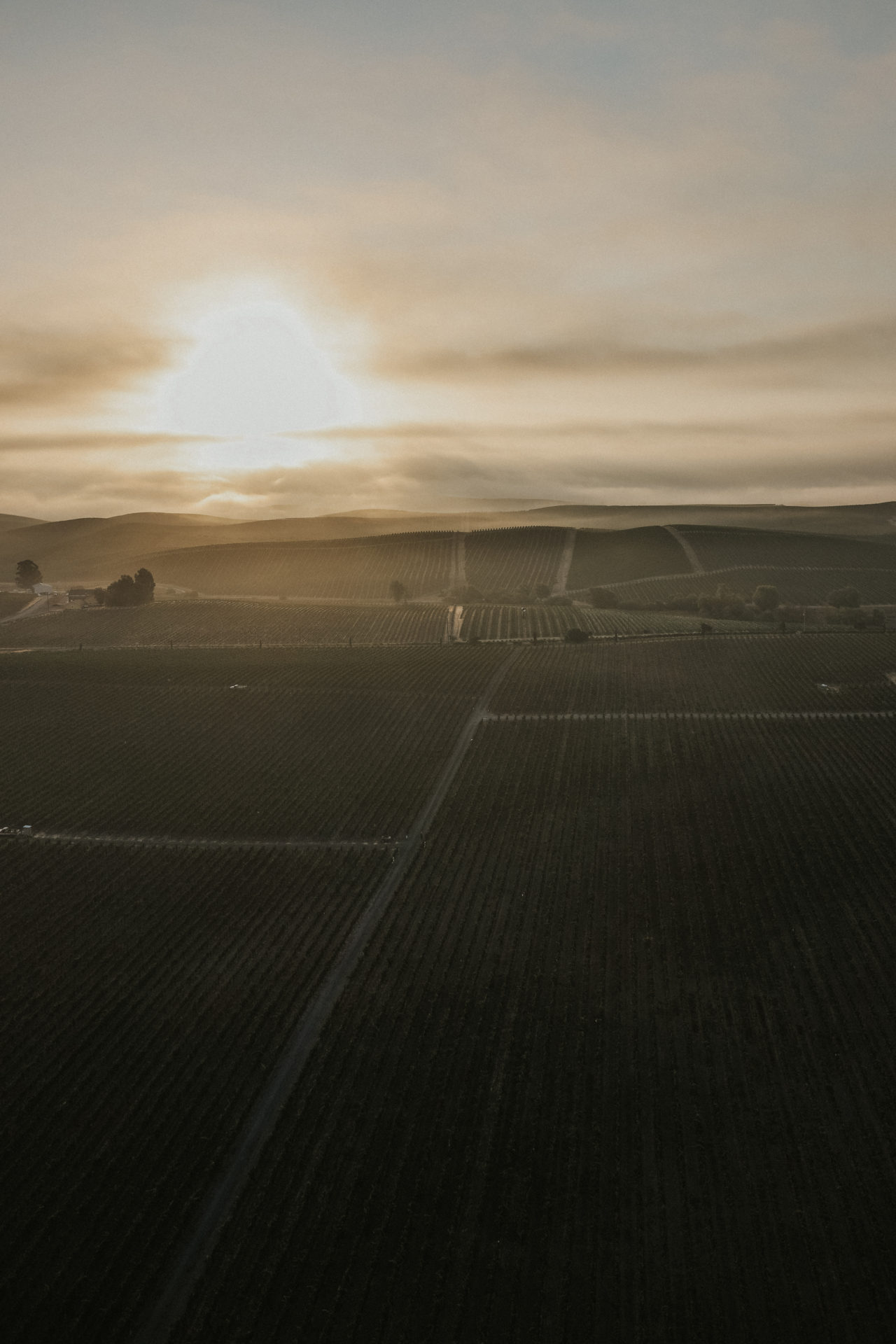 the view of Sonoma from inside a hot air balloon