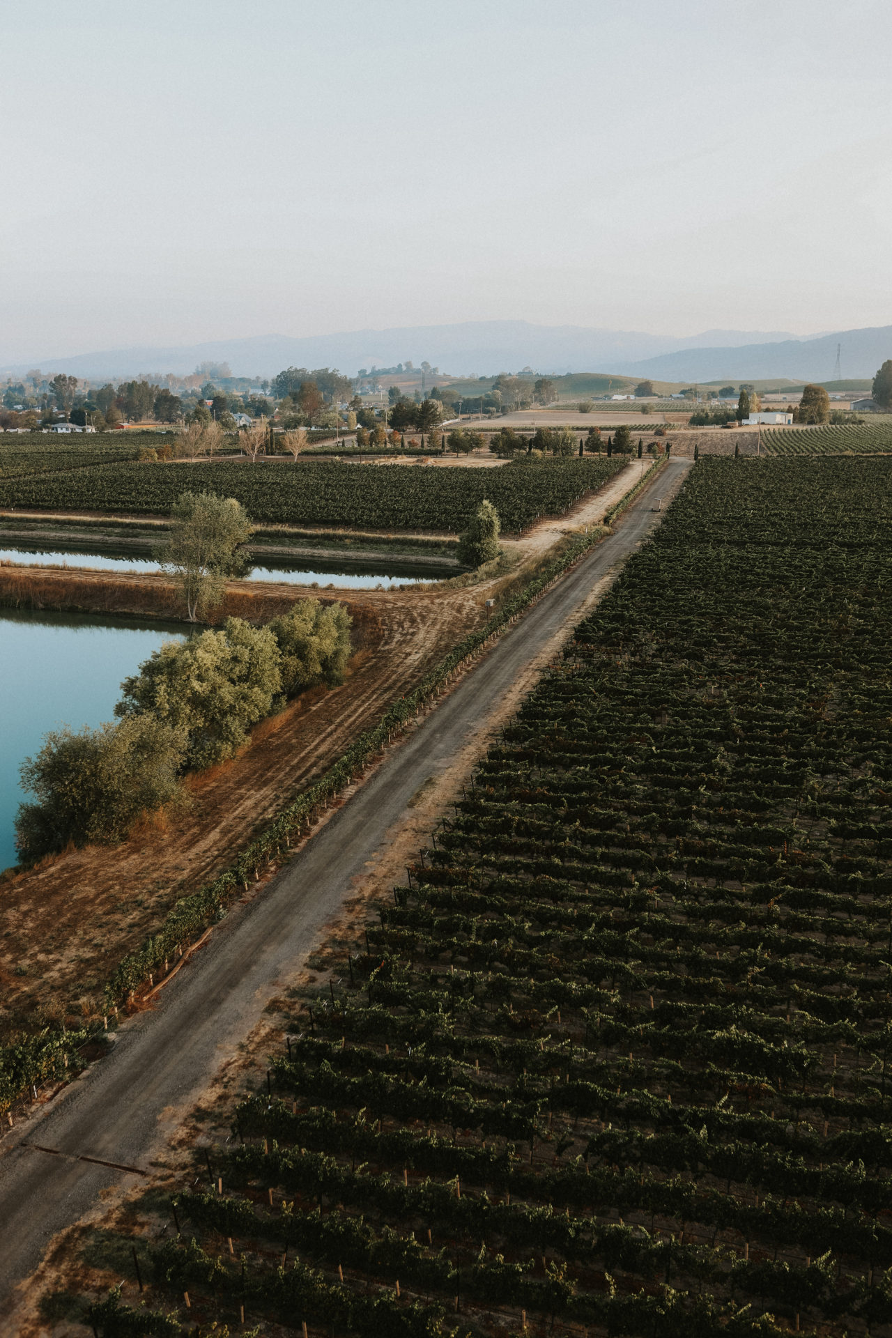 the view of Sonoma from inside a hot air balloon