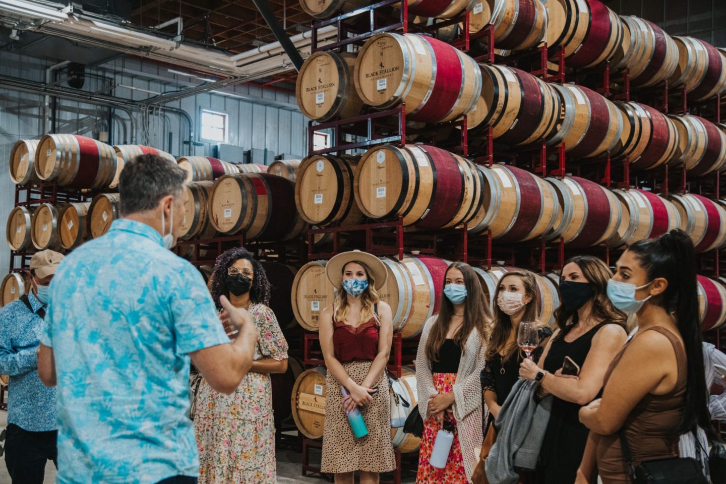 a tour of the wine barrels at Black Stallion Winery