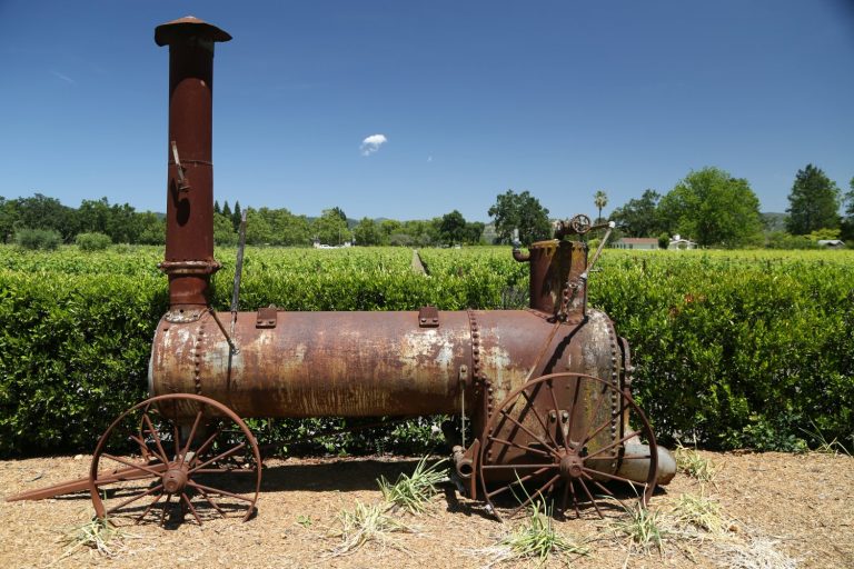 Pestoni Family Vineyards