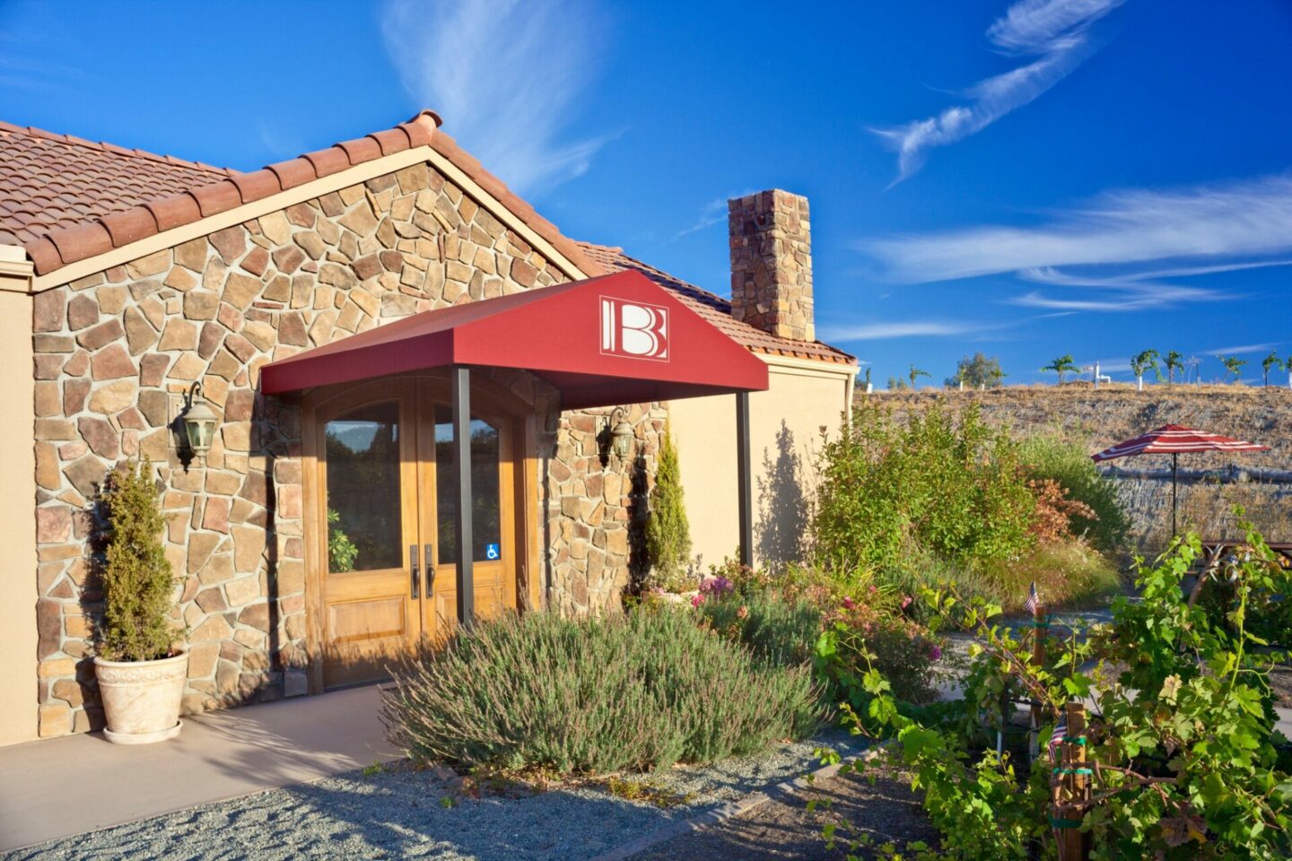 a view of Barr Estate, a dog-friendly winery in Paso Robles