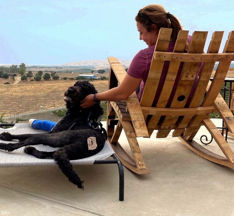 The Best DogFriendly Wineries in Paso Robles Wine with Paige