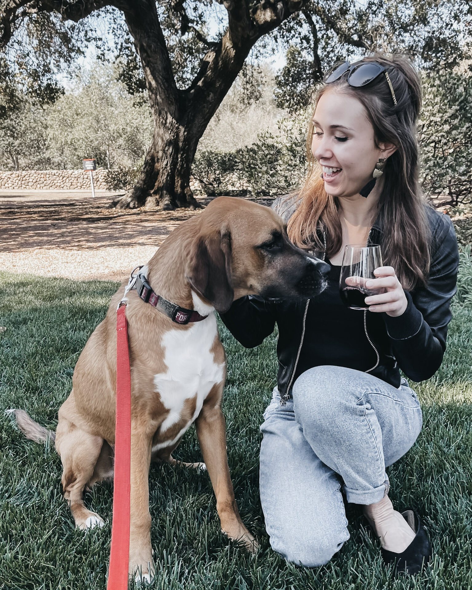 girl petting a dog at a wdog-friendly winery in Paso Robles