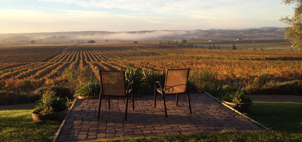 a view of Still Waters Winery, a dog-friendly winery in Paso Robles