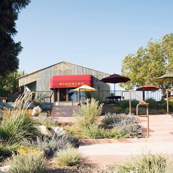 The Best DogFriendly Wineries in Paso Robles Wine with Paige