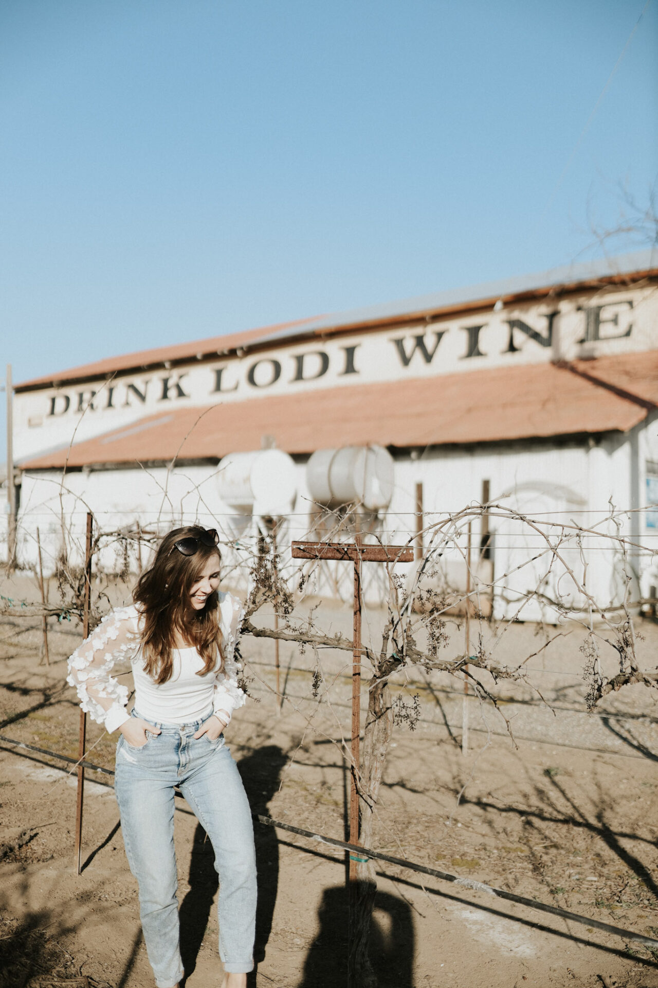 Lodi Winery and Vineyard