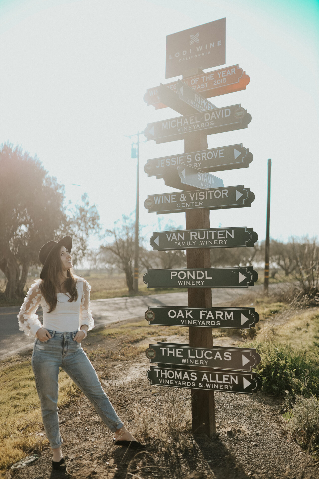 Lodi winery directional sign