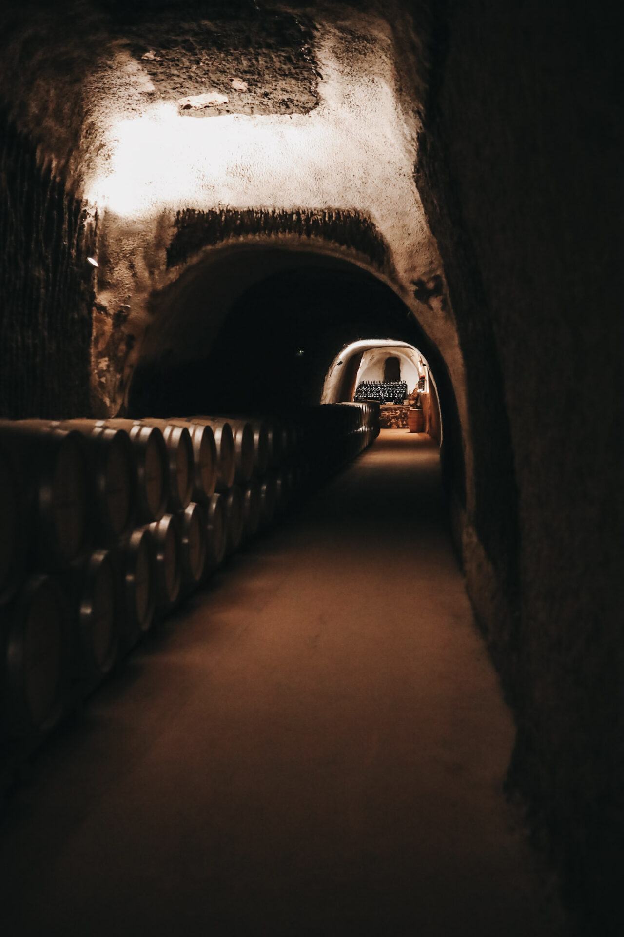 Ribera del Duero wine caves at Bodega Valduero