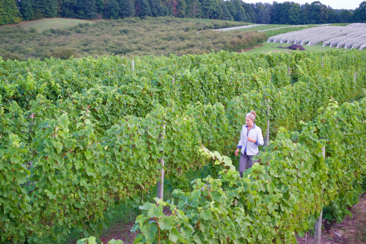 Kasey Wierzba, women winemaker of Shady Lane Cellars