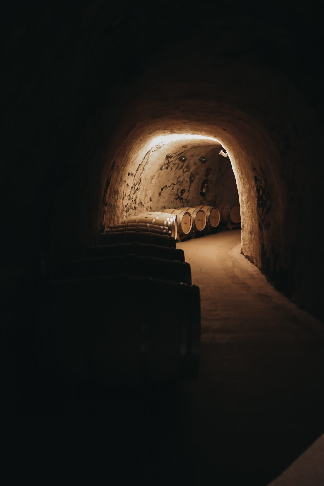Wine caves in Bodega Valduero