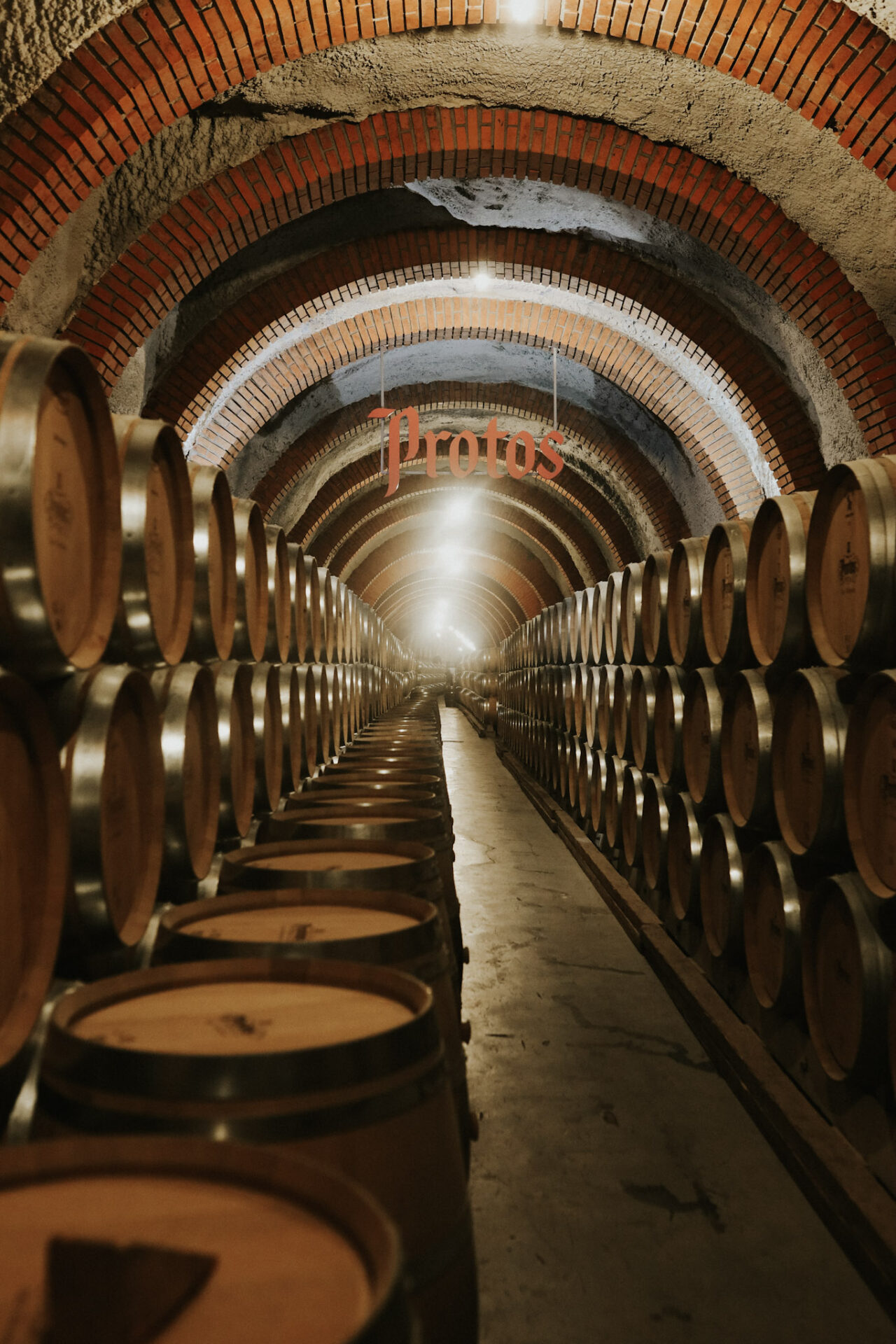 Barrel room at Bodega Protos