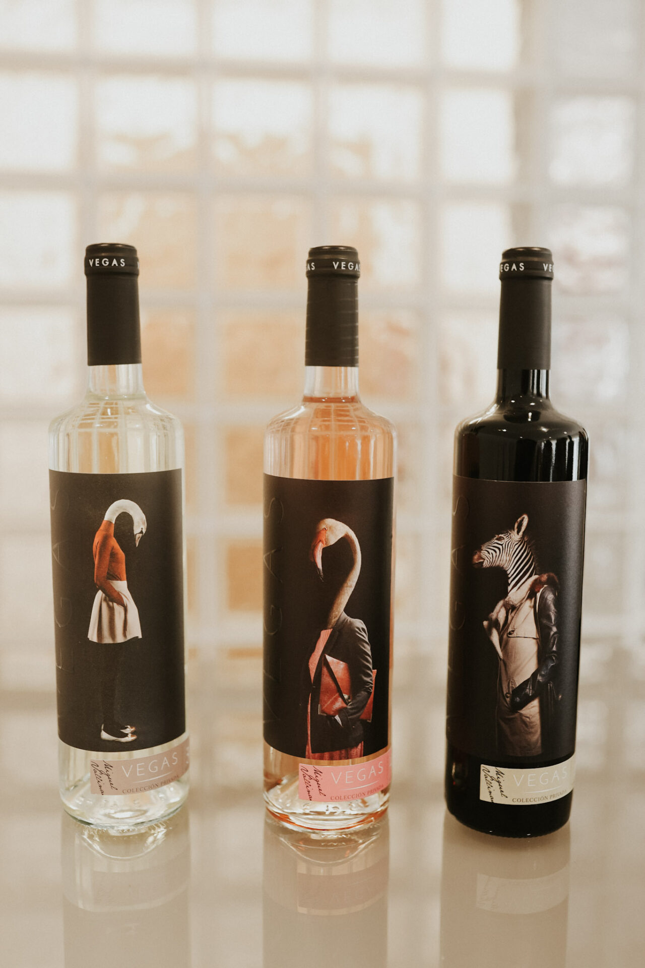 Bodega Fuentaspina Wines