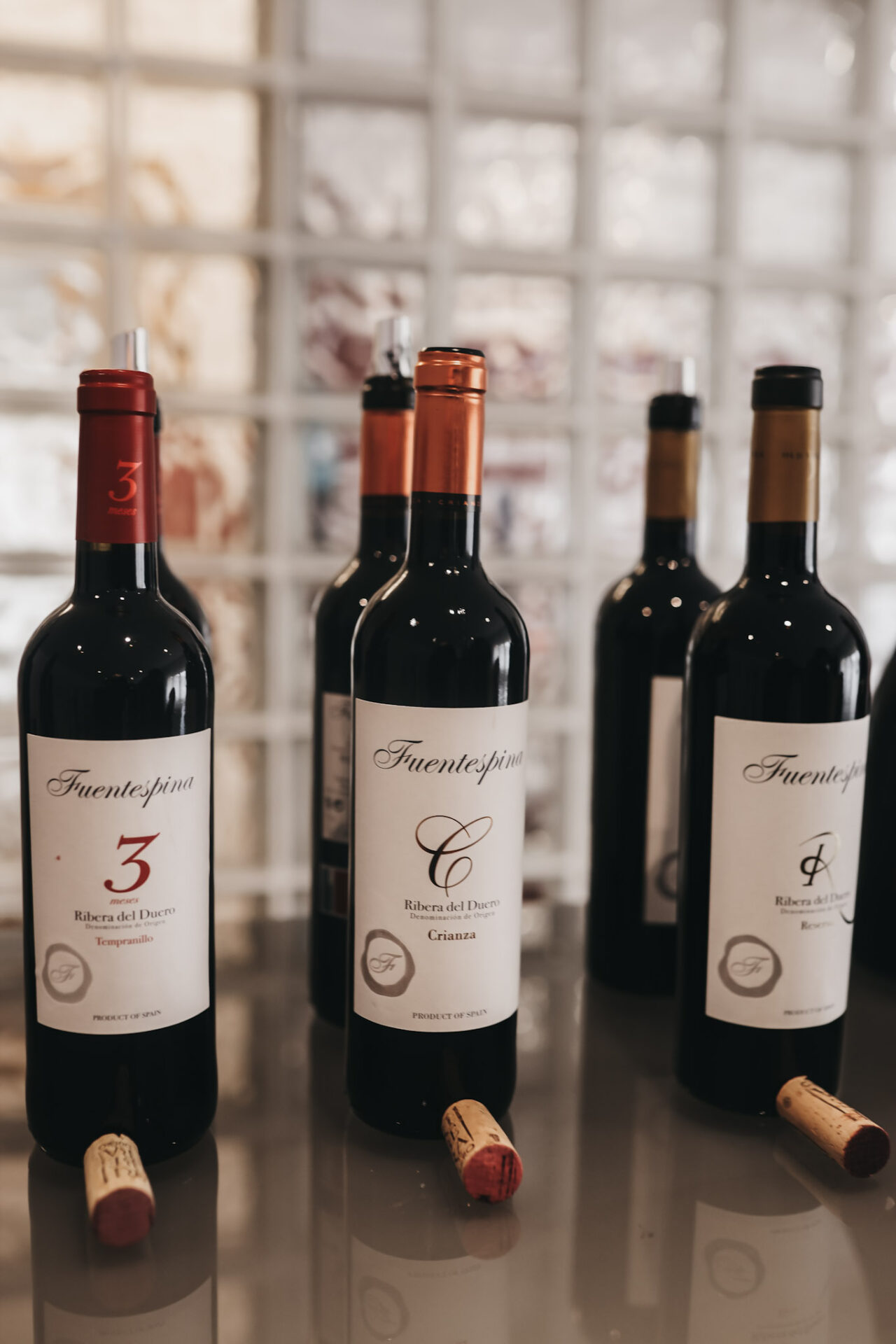 Bodega Fuentaspina Wines