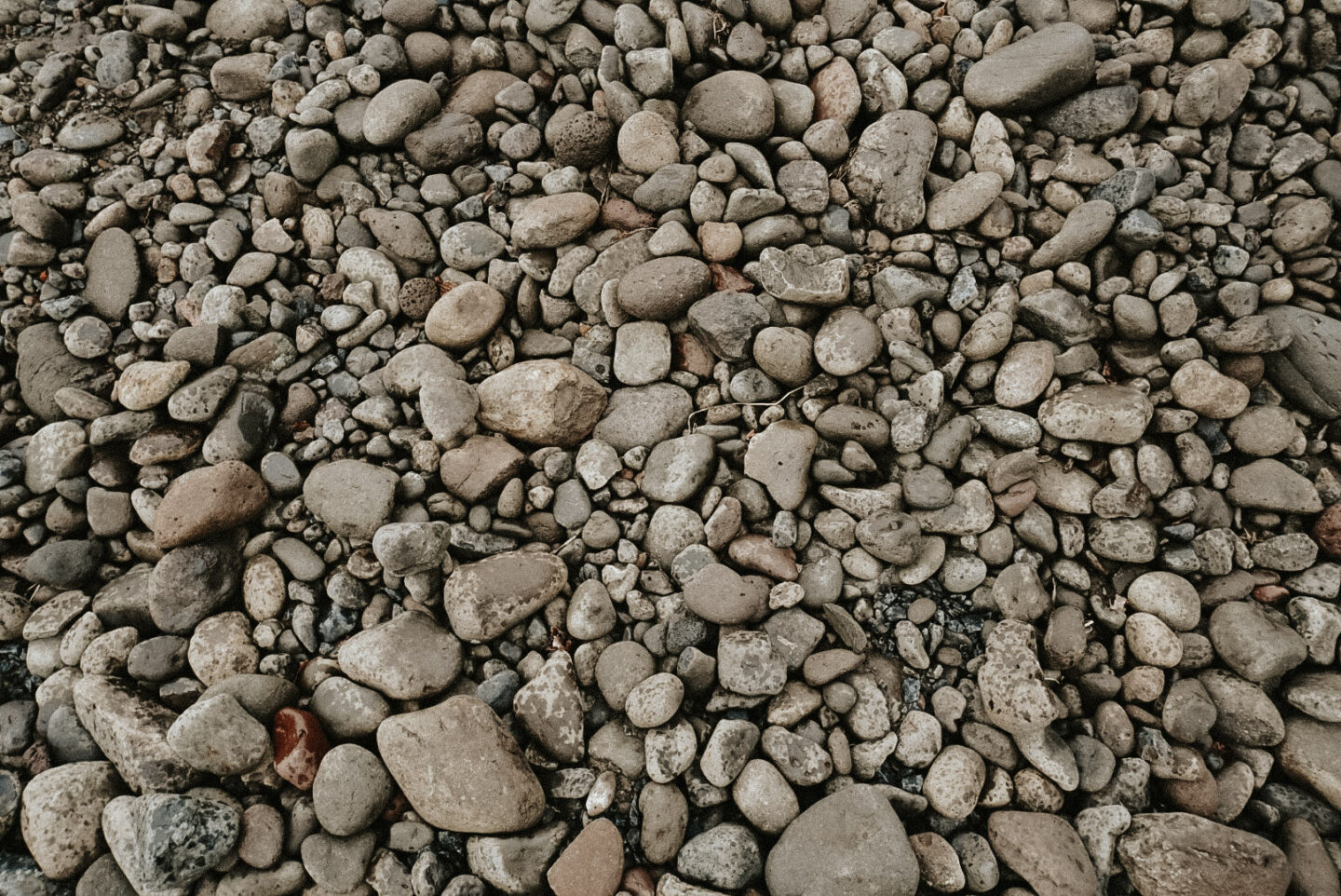 The Rocks - what the vineyard terroir looks like in Walla Walla