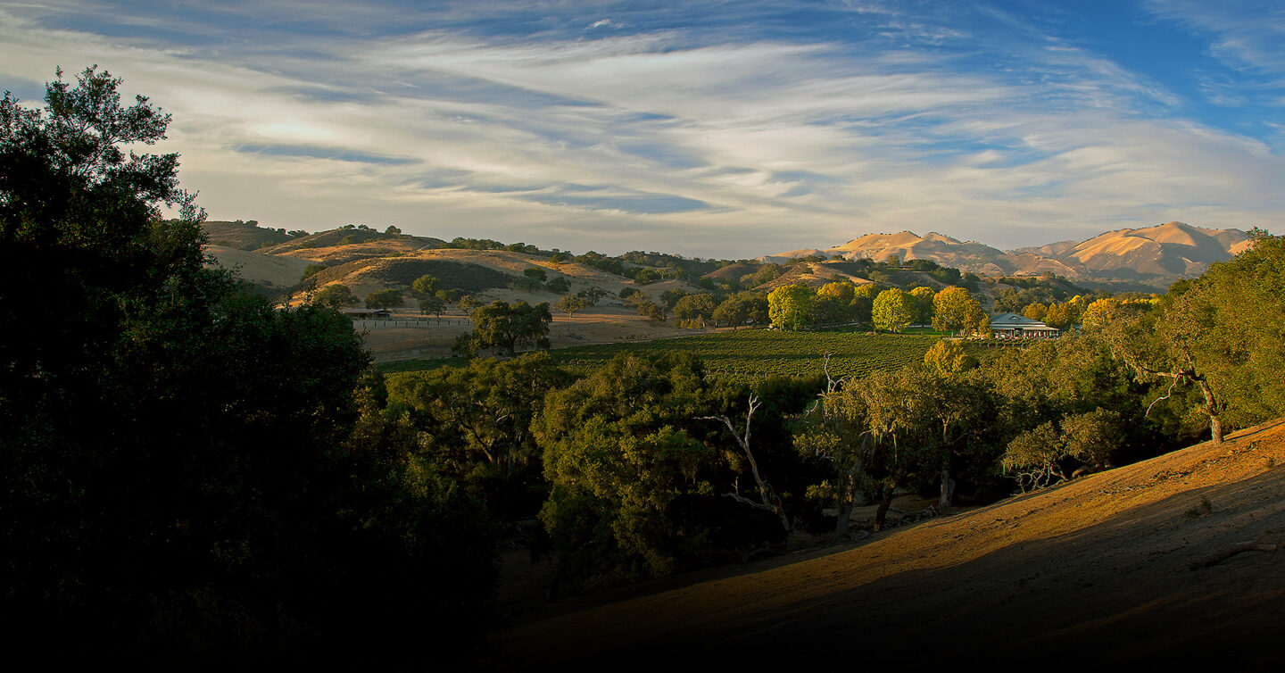 Scenic view of the winery at Fess Parker Winery