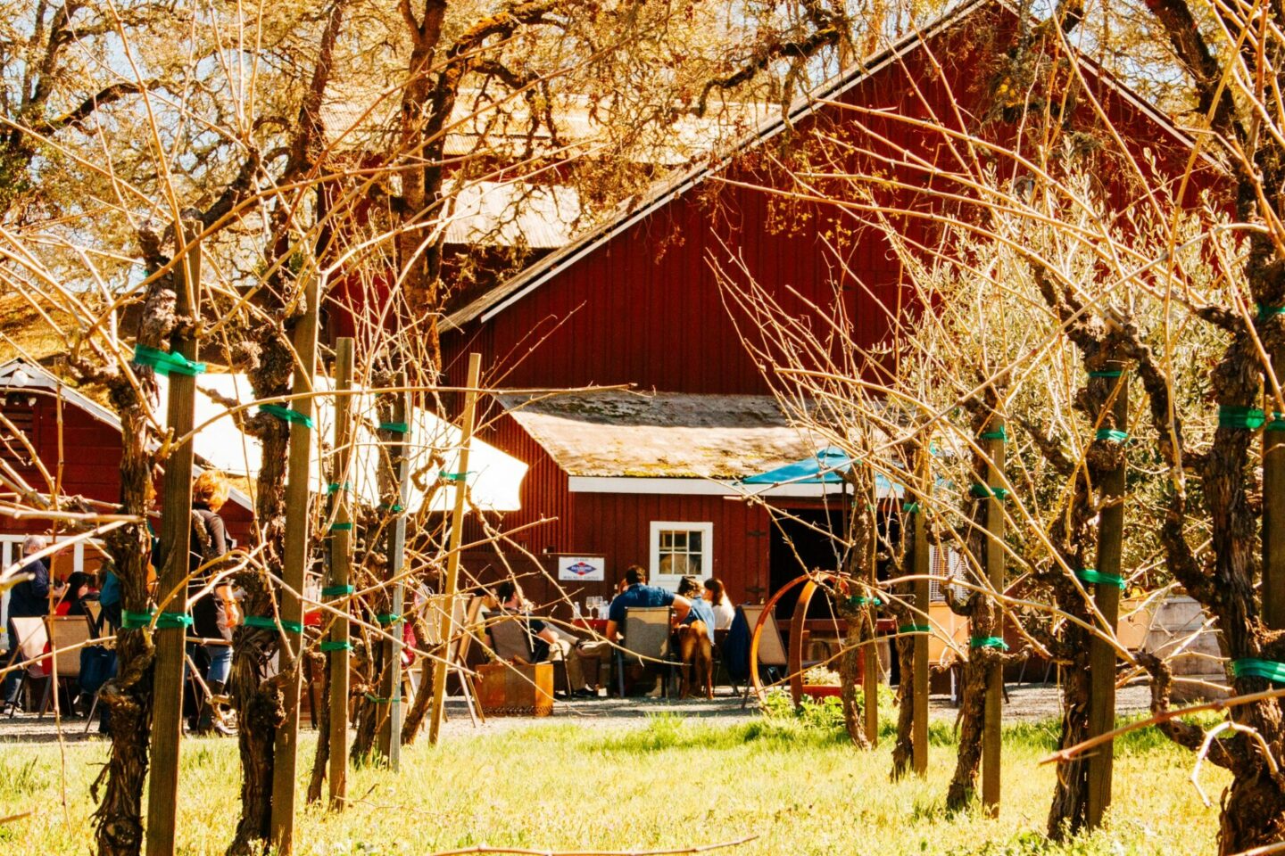 Pope Valley Winery in Napa