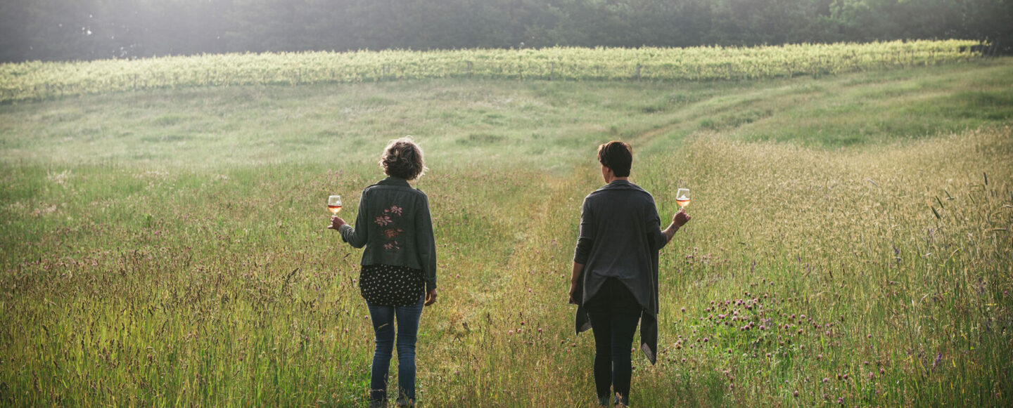 Shady Lane Cellars vineyard