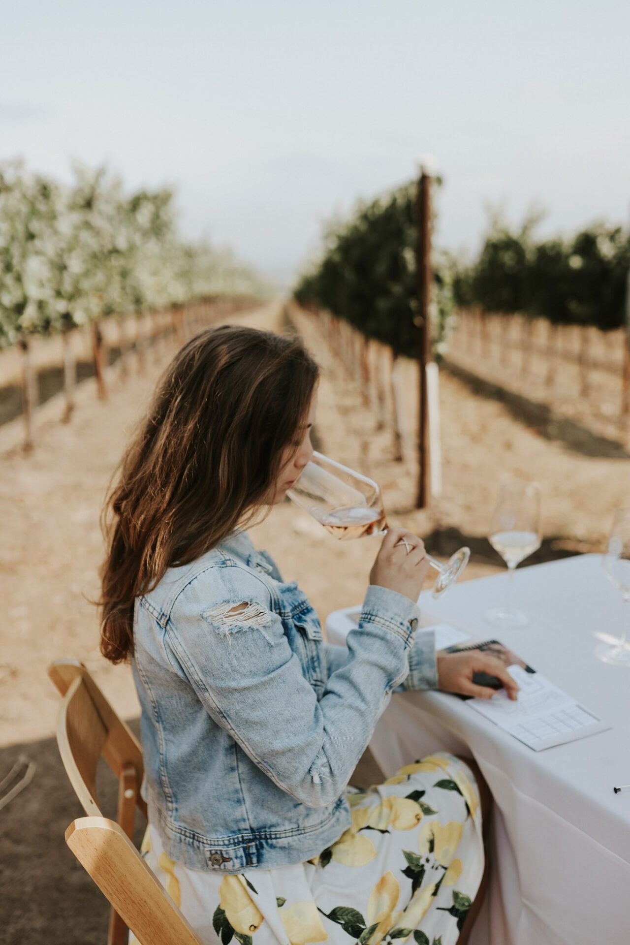 Tasting wine at a picnic in Napa