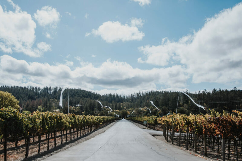 Black Owned Wineries You Should Know About Wine with Paige