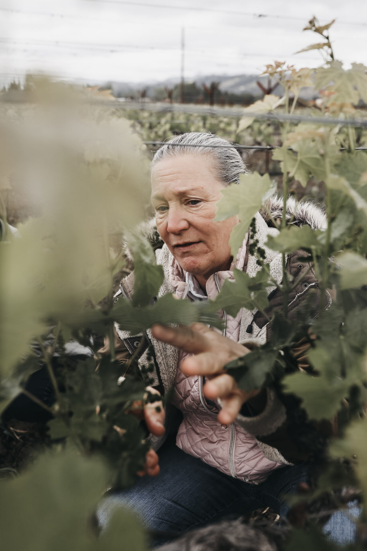 Pam Starr in the vineyard at Crocker and Starr Winery