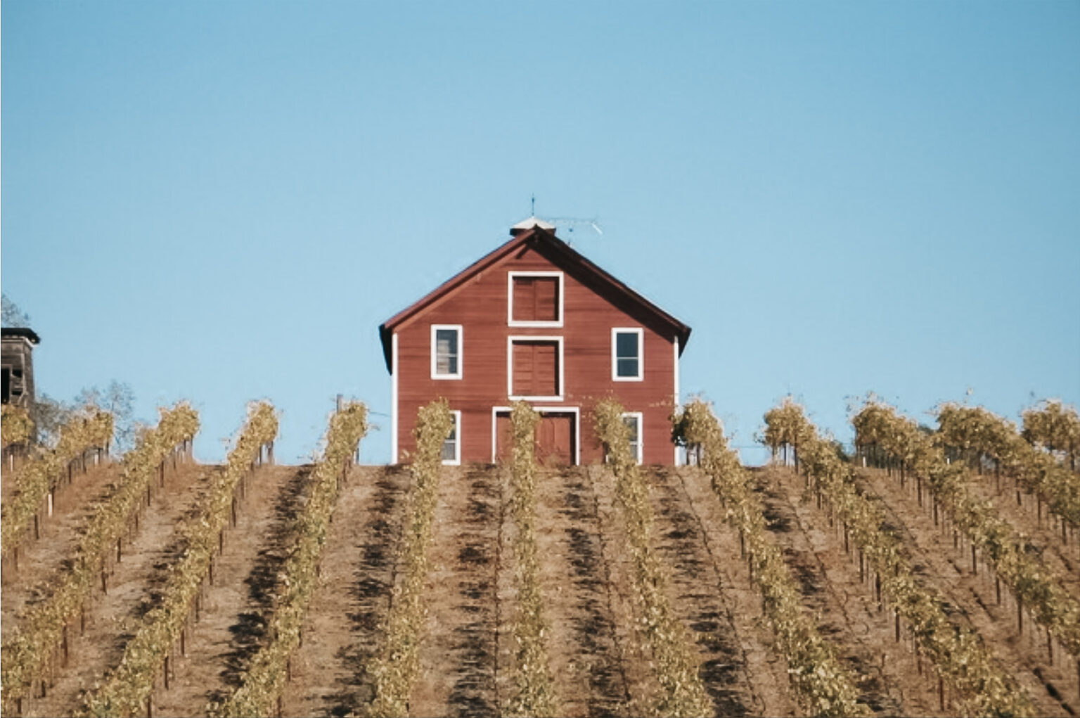 Black Owned Wineries You Should Know About Wine with Paige