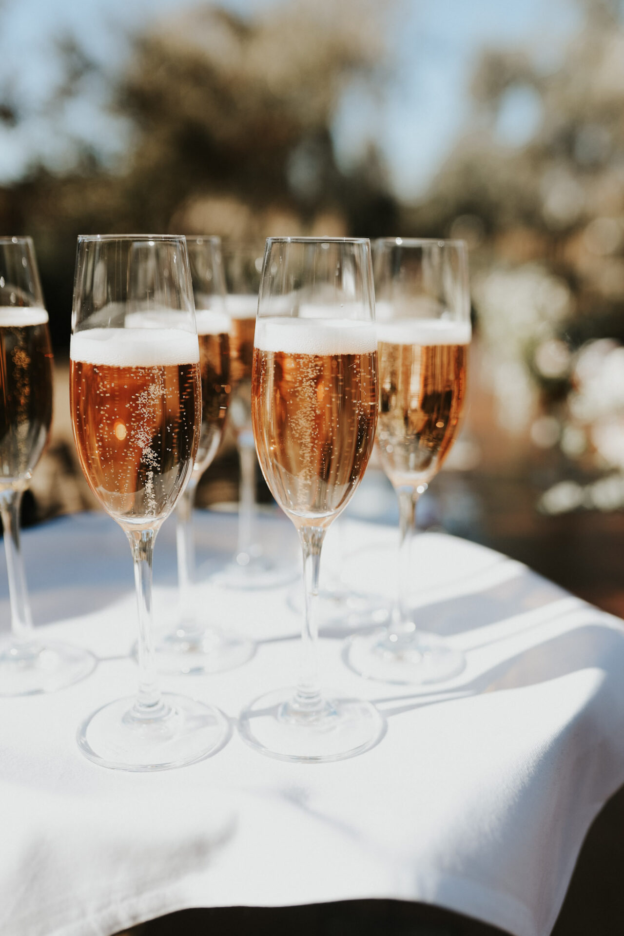 The 8 Best Cheap Champagnes and Sparkling Wines