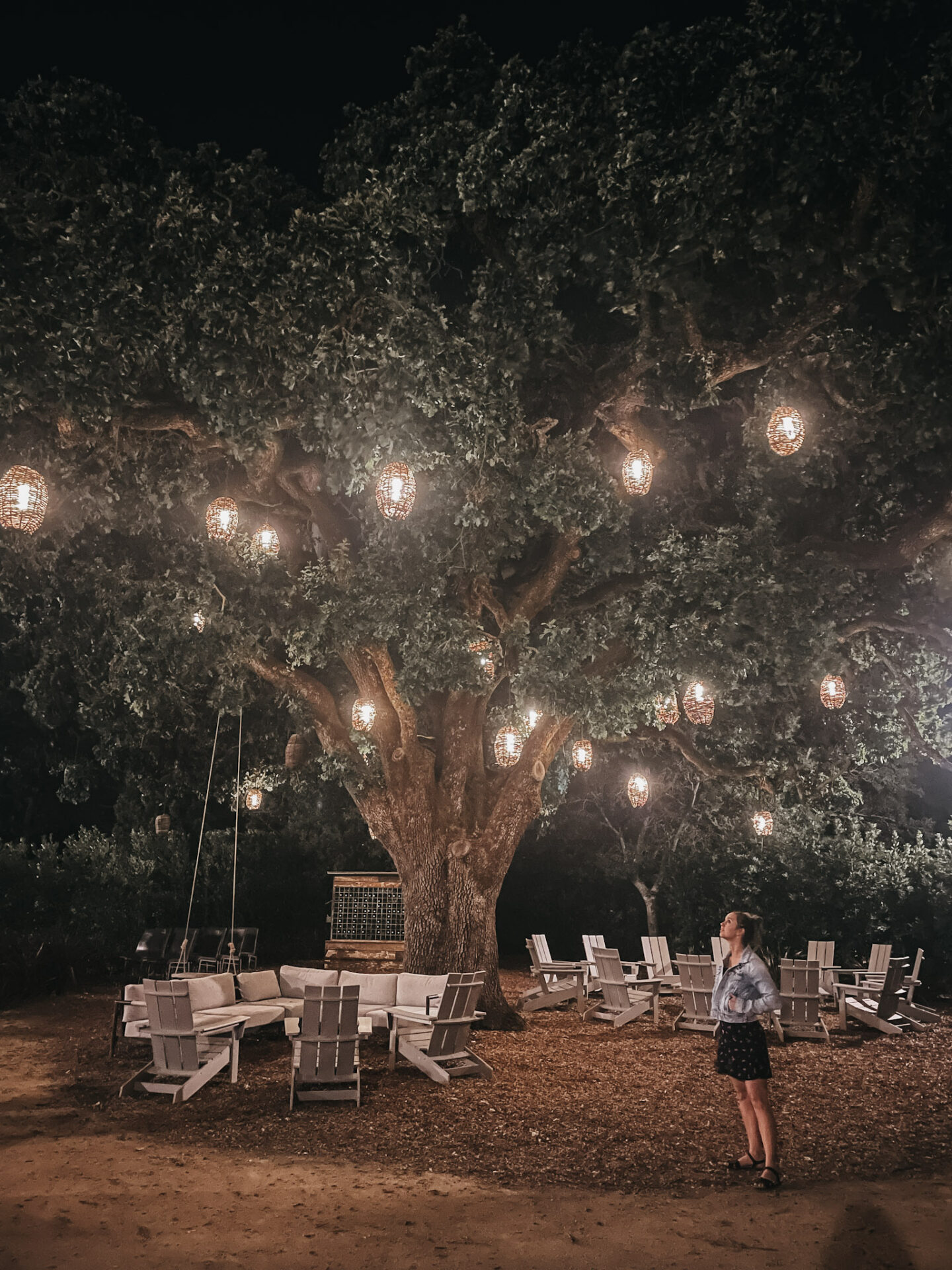 Paige under a tree with lanterns in downtown Sonoma at the Lodge