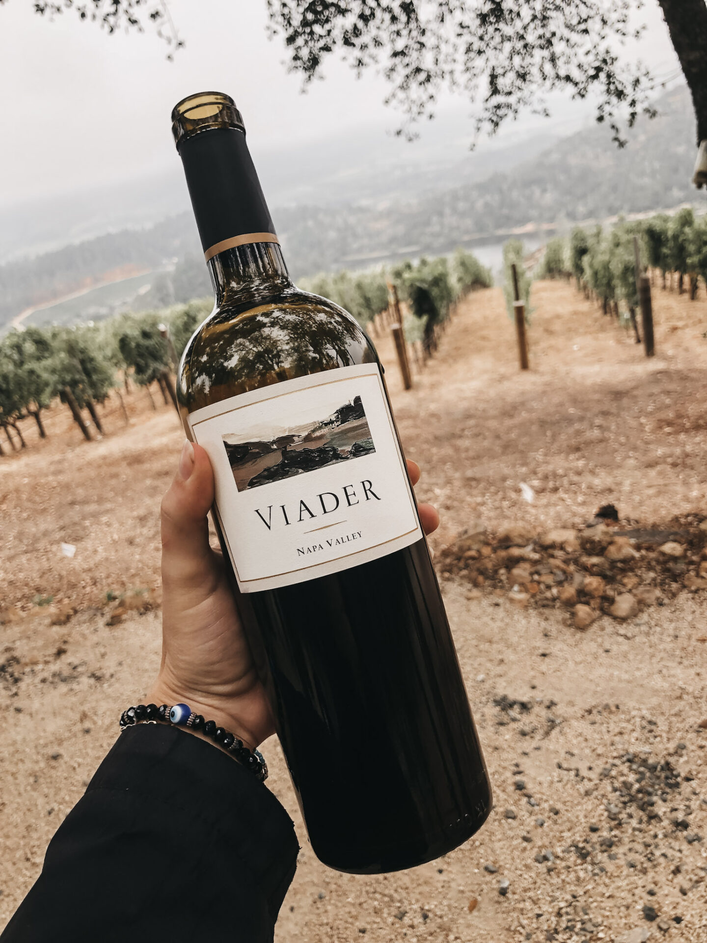 Foggy morning with Viader Howell Mountain Wine