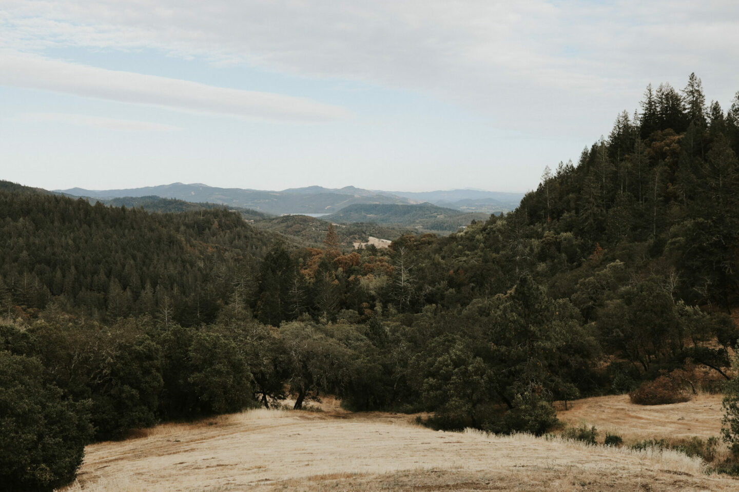 A view of a winery, in an article about wine tasting etiquette