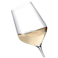 Zenology Wine Tasting Glass