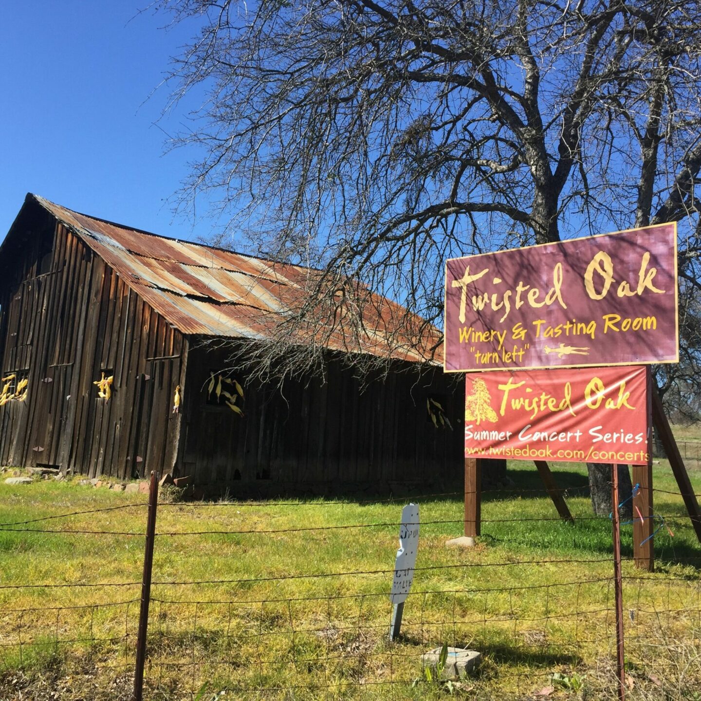 Twisted Oak Winery Murphys Tasting Room