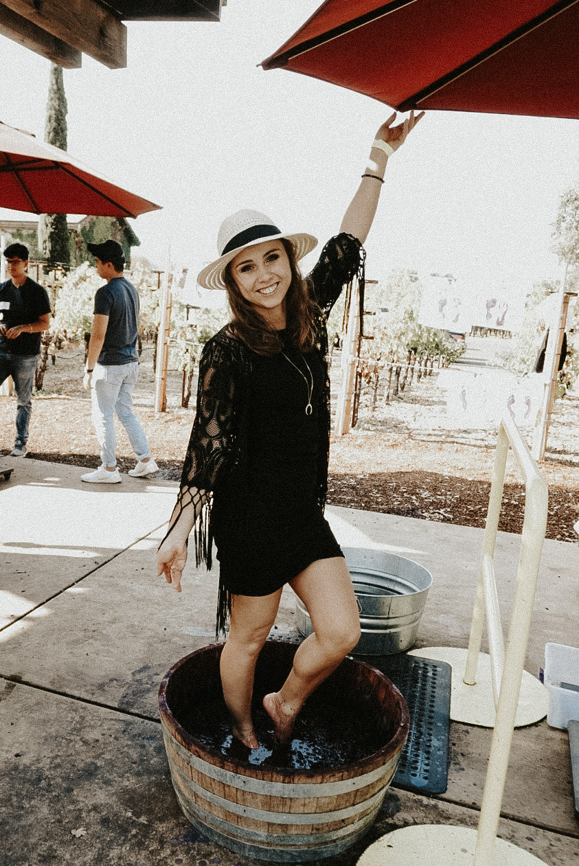 Grape stomping at Grgich Hills Estate in Rutherford