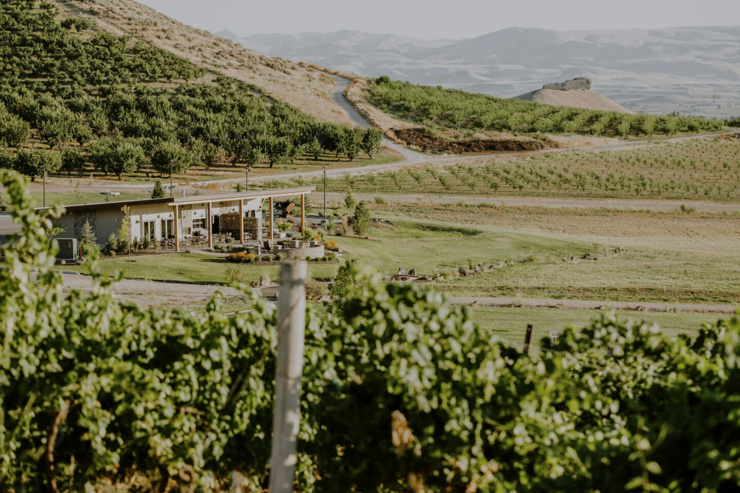 Sawtooth winery on the Sunnyslope Wine Trail near Boise, Idaho