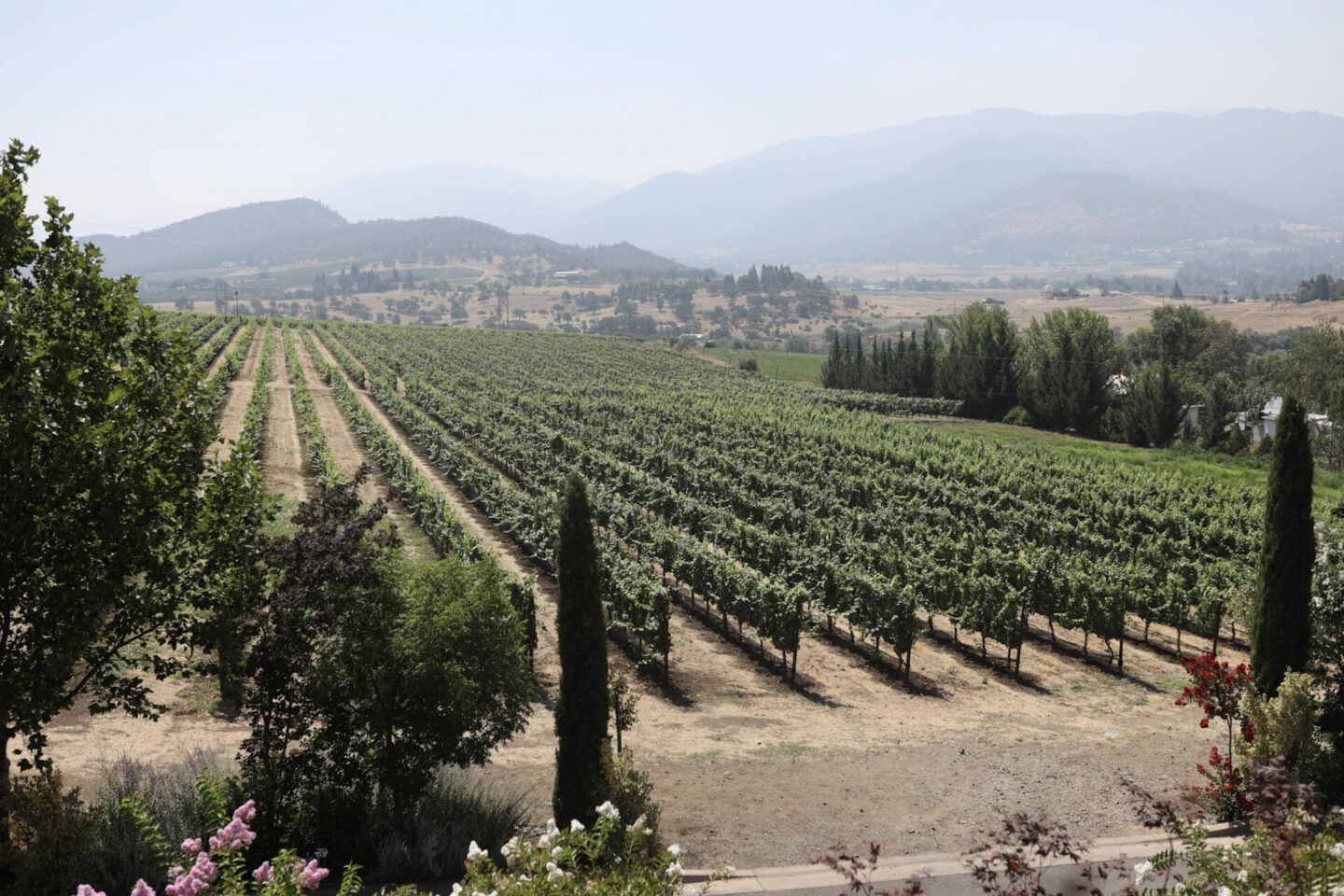 Southern Oregon wineries and vineyards - Rogue Valley wineries outside Ashland