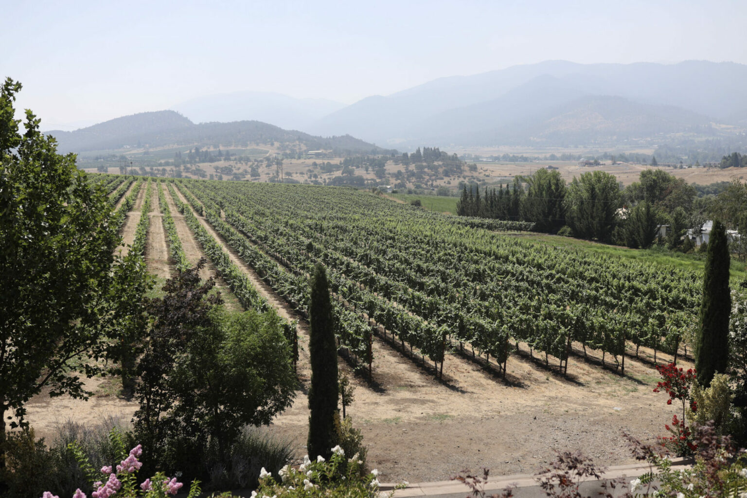 Best Rogue Valley Wineries Applegate, Ashland, Jacksonville,