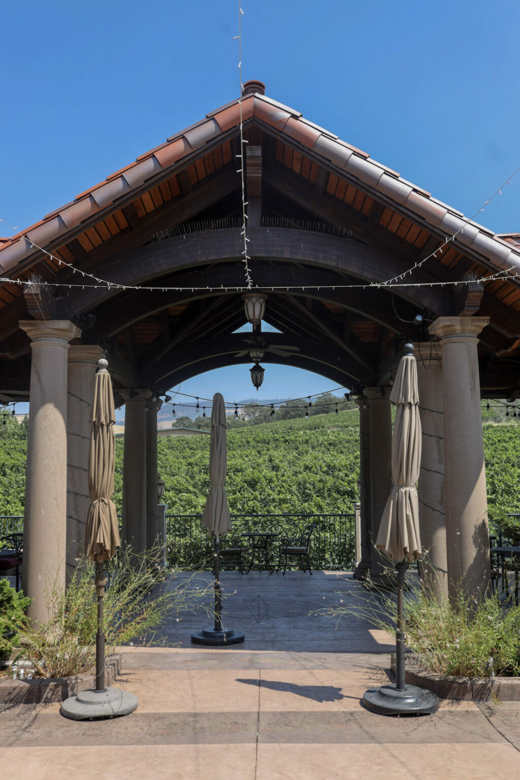 Complete Guide to Southern Oregon Wineries Wine with Paige