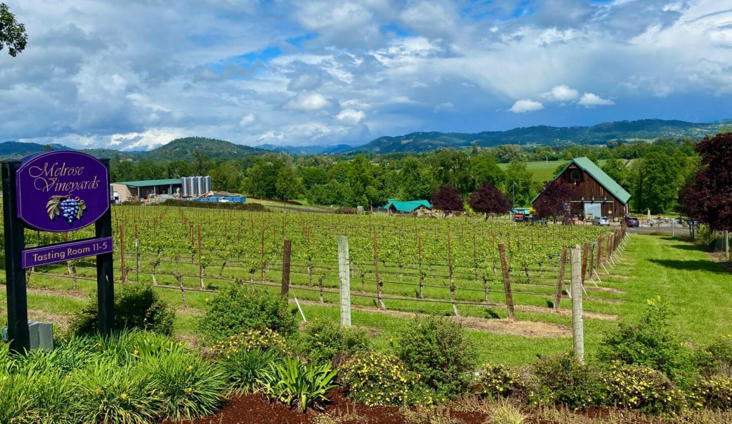 Melrose Vineyards Southern Oregon Winery