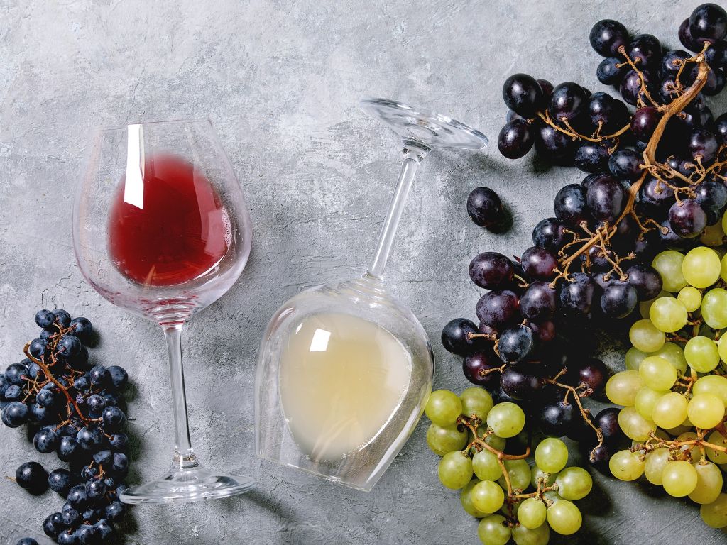 Pinot Grigio and Pinot Noir wine in wineglasses on table with wine grapes
