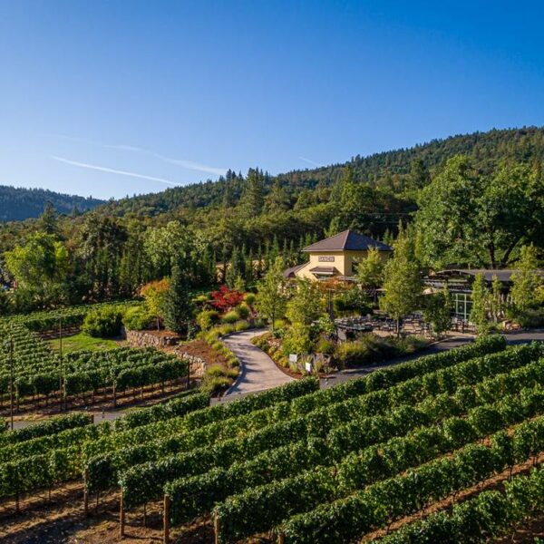 Complete Guide to Southern Oregon Wineries Wine with Paige