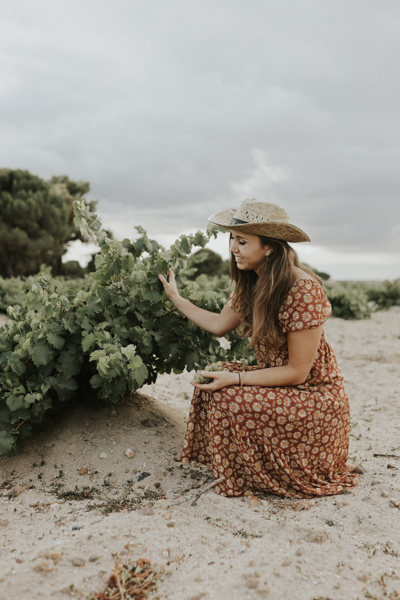 Paige with bush-trained Verdejo vines in Rueda wine region