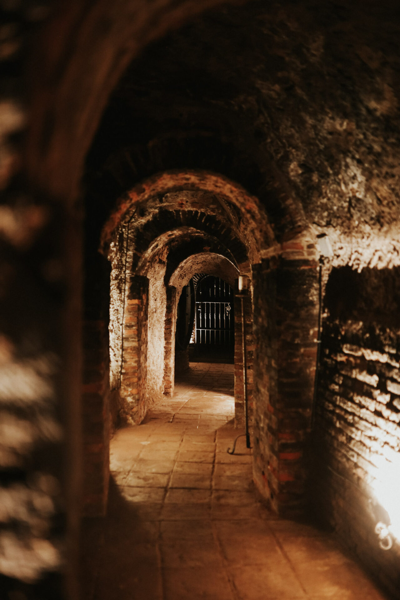 Bodegas Félix Sanz wine cave in Rueda