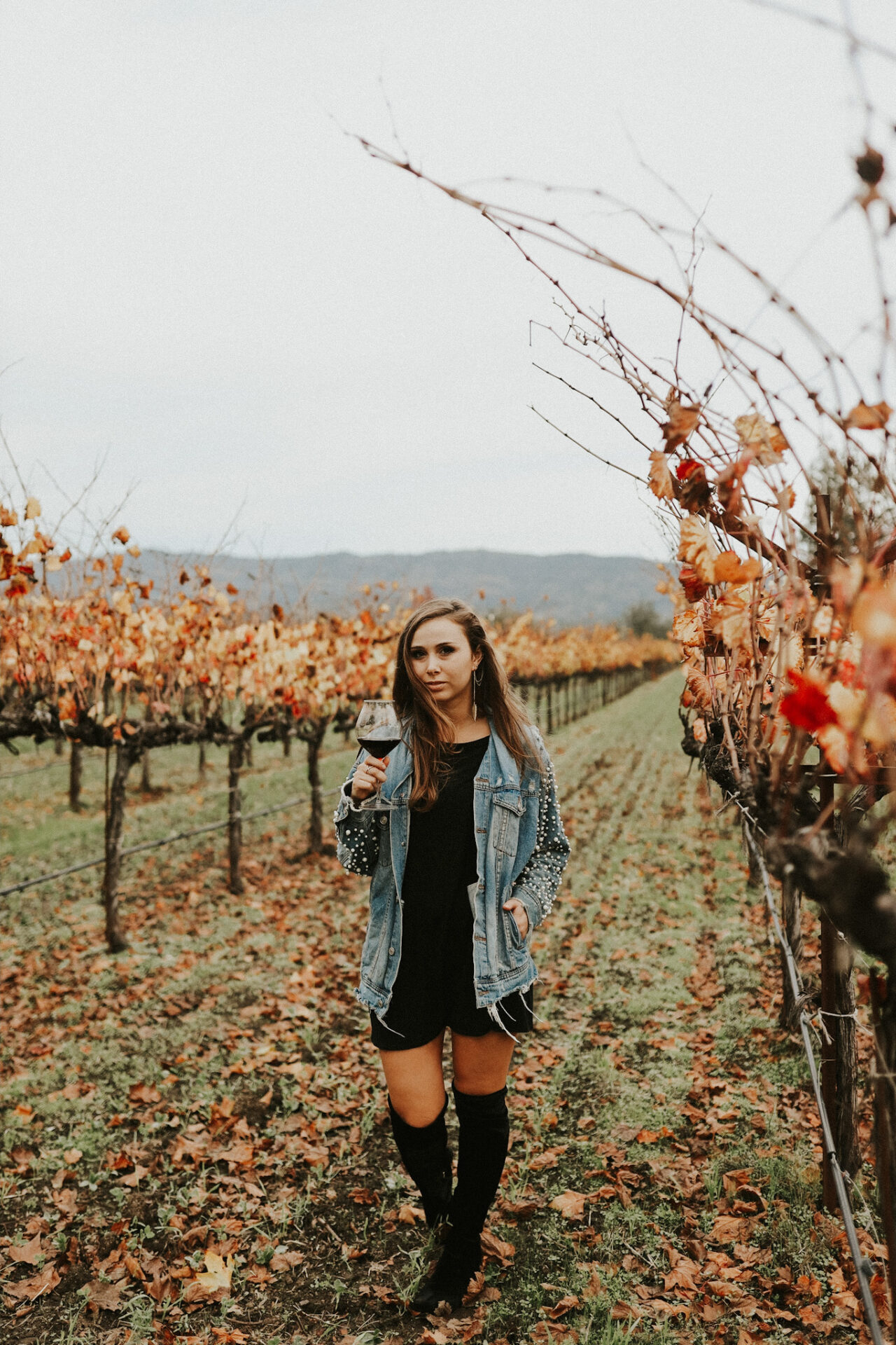 Paige in a vineyard at a Glen Ellen winery