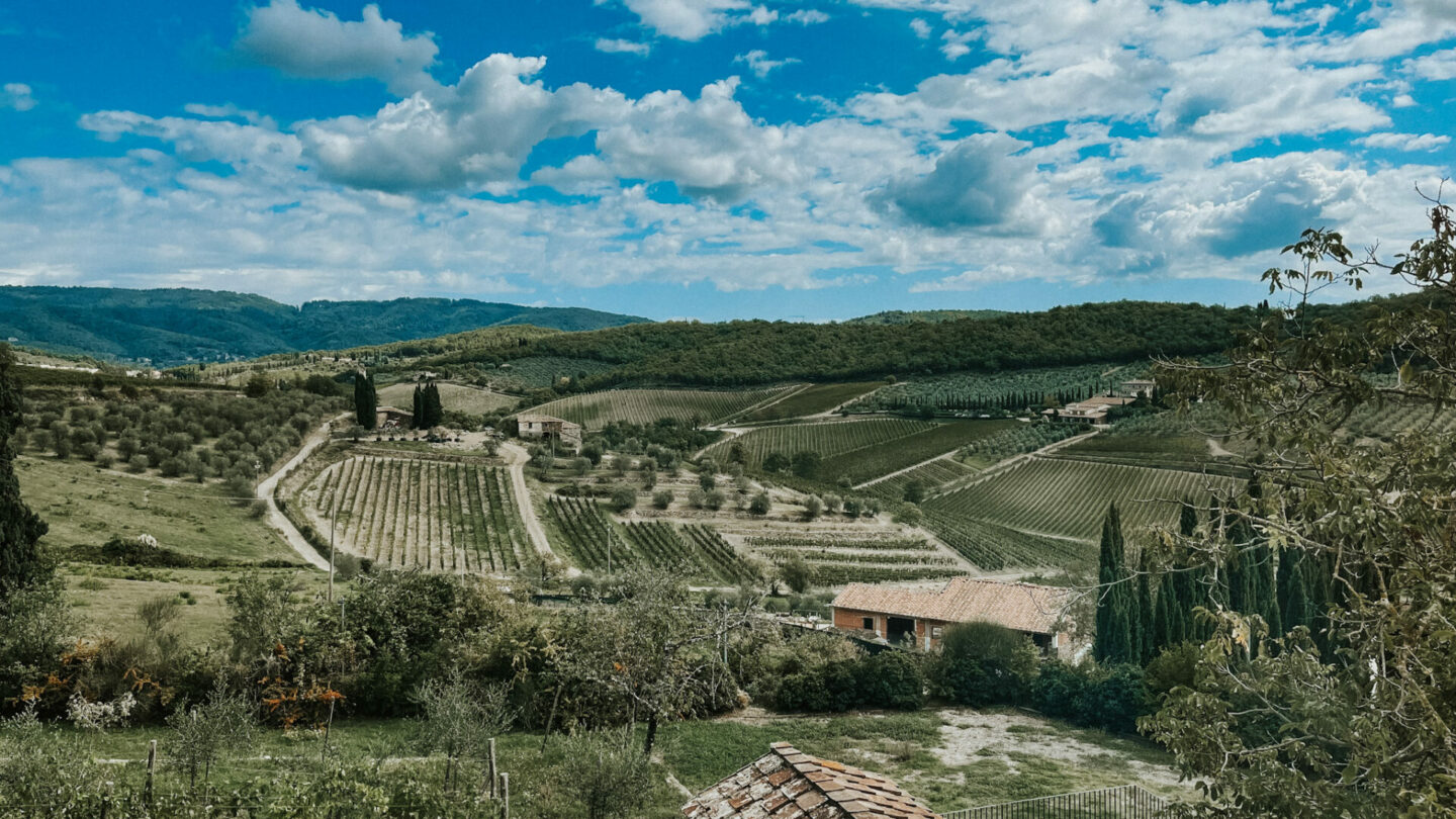 Chianti Classico vineyards