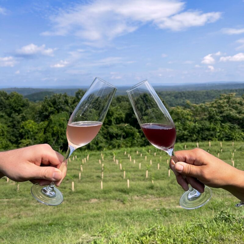 The Best Hudson Valley Wineries Wine with Paige