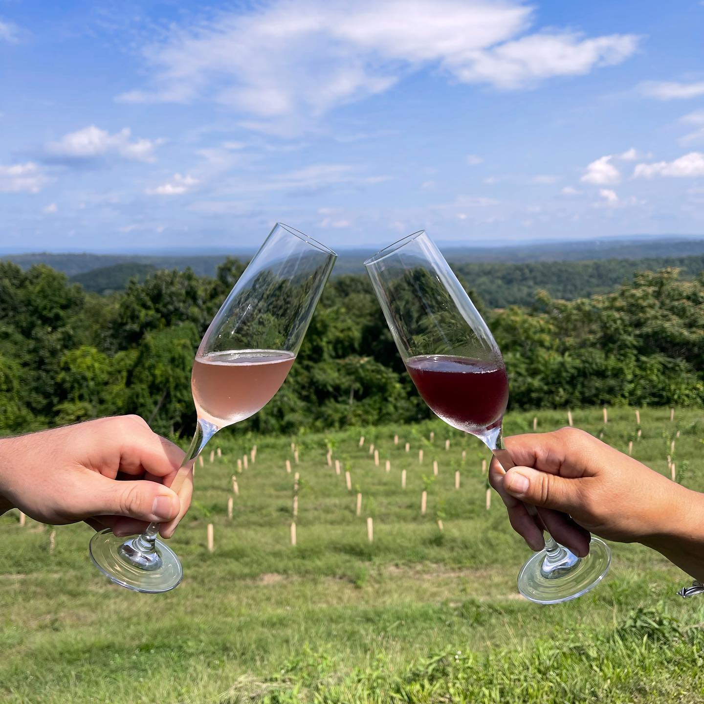 Two hands holding wine glasses and clinking